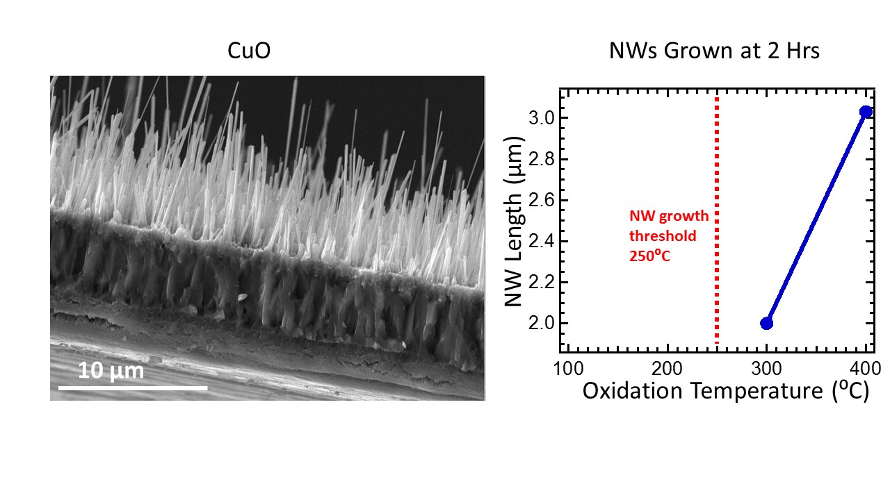 CuO Nanowires